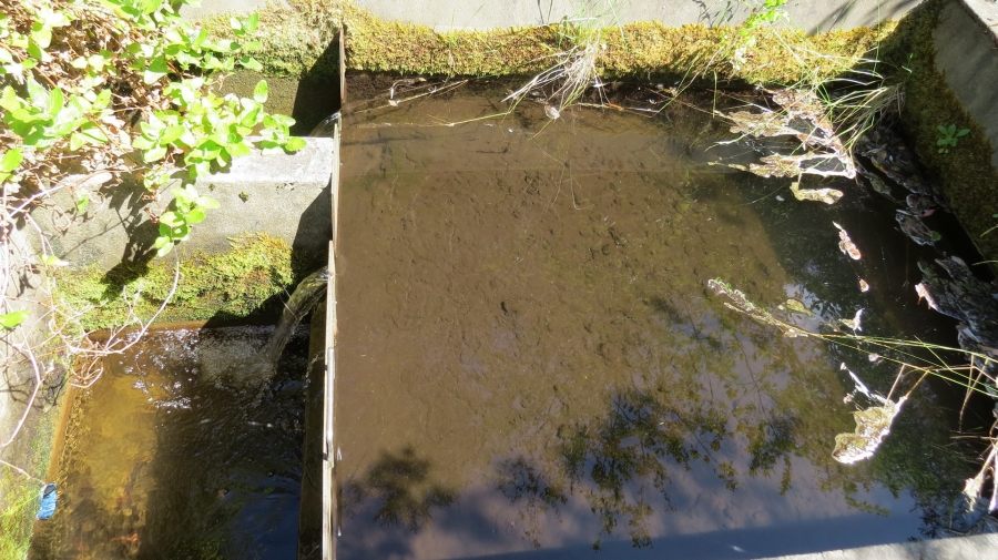 Commercial Property for Sale in Robertson Rural Western Cape